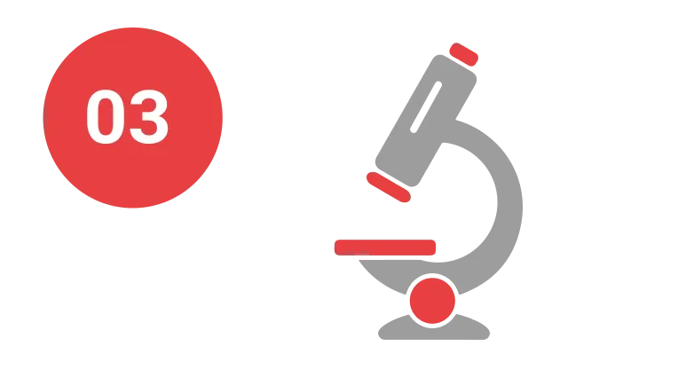 Mėginys bus išsiųstas į Fagron laboratoriją, kur mūsų specialiai apmokyti technikai išanalizuos iš viso 48 genetines variacijas iš jūsų DNR mėginio.