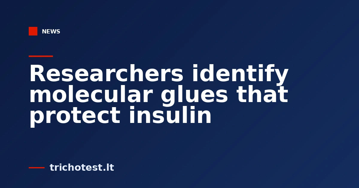 Researchers identify molecular glues that protect insulin