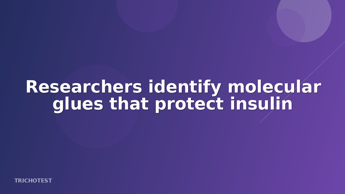 Molecular Glues Identified to Protect Insulin-Producing Cells from Damage