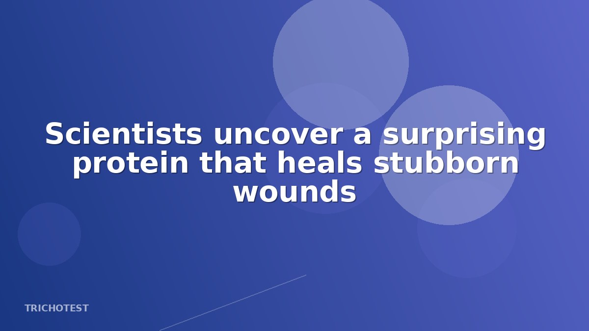 Scientists uncover a surprising protein that heals stubborn wounds