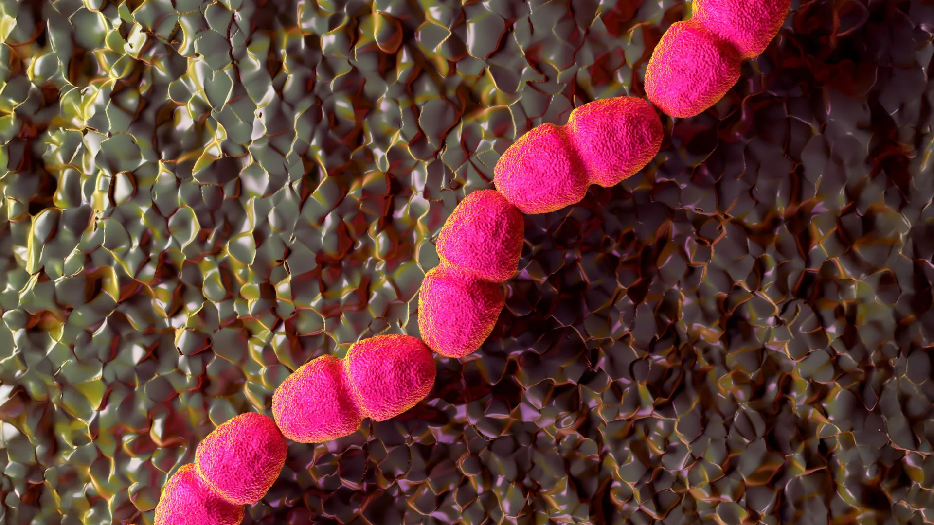 Mokslininkai randa, kodėl kai kurios sutrikusios raukšles nenori gydytis